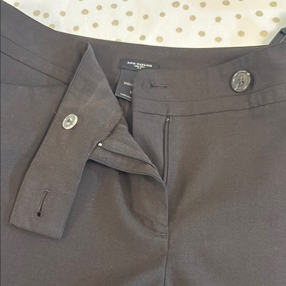 Ann Taylor Signature Brown Slacks, Women’s - Picture 3 of 9